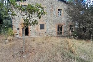Azienda agricola