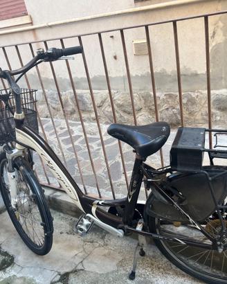 Bicicletta elettrica 