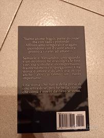 Anime fragili - Gaby Crumb - Libri e Riviste In vendita a Milano