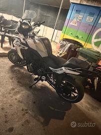 Benelli Trk 2019