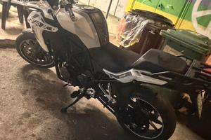 Benelli Trk 2019