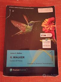 Il Walker 1 - Corso di fisica