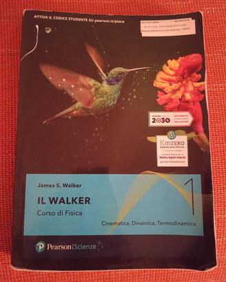 Il Walker 1 - Corso di fisica