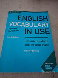 English vocabulary in use