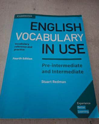 English vocabulary in use