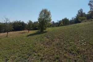 Terreno agricolo panoramico 