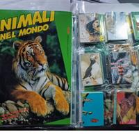 completi album entra e scegli  foto