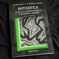 Bramanti Pagani Salsa – Matematica 2ª edizione