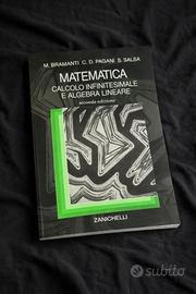Bramanti Pagani Salsa – Matematica 2ª edizione