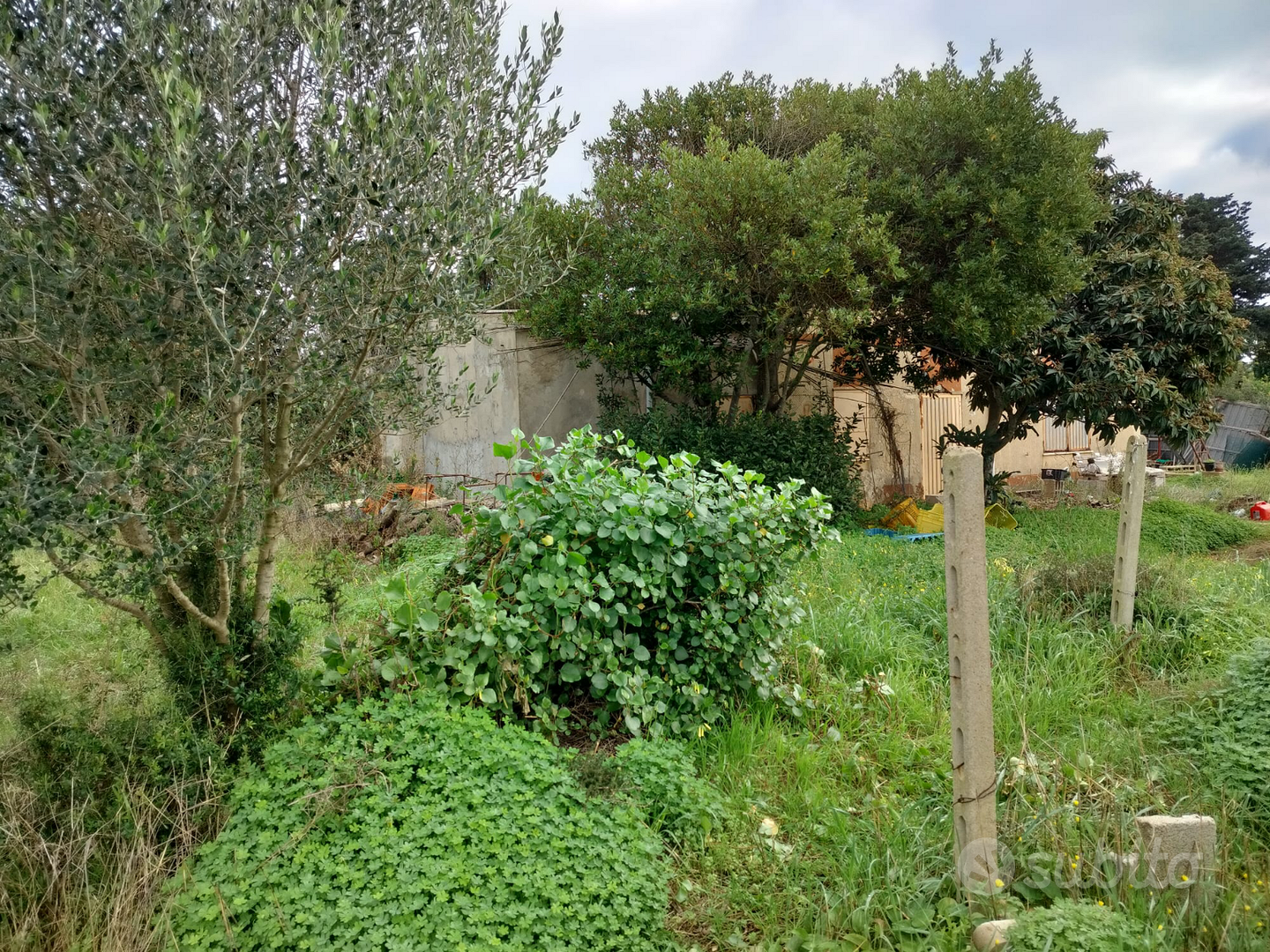 Terreno con casa - Vista 5