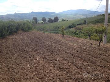 Vendita Rustico con terreno a Sciara