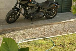 Harley-Davidson Softail Low Rider - 2020