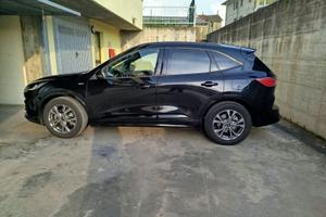 Ford Kuga 2.0 ecoblue mhev st-line 2wd 150cv