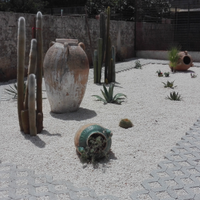 PLM pavimenti grigliato(mattonprato) per giardini