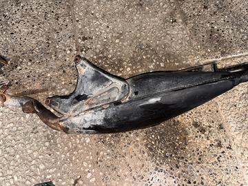 Marmitta originale scooter Piaggio