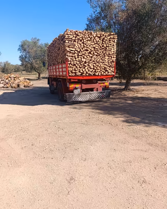 LEGNA DA ARDERE (DI ULIVO ) SECCA E STAGIONATA 