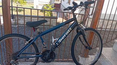 Bicicletta ragazzo ragazza