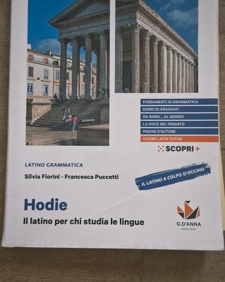 Hodie latino