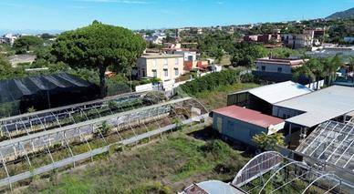 Terreno agricolo