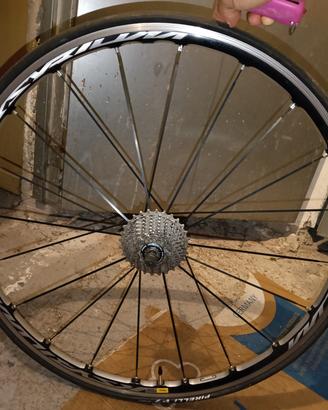 ruote bici da corsa mavic