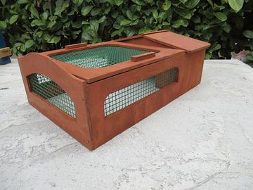 Terrario tartarughe con fondo libero  60x40x20h