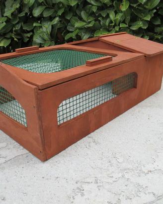 Terrario tartarughe con fondo libero  60x40x20h