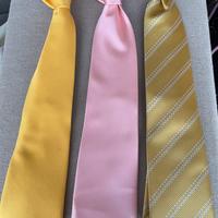 Set 3 cravatte Lucio Lamberti