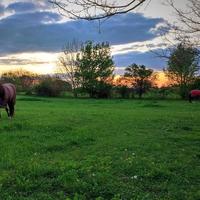 Mezza fida a Catignano