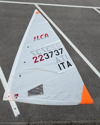 Vela ILCA-4 regata