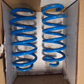 Molle  posteriori rinforzate Dacia Duster 