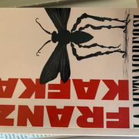 La metamorfosi- Franz Kafka