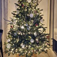 Albero di natale 240 cm