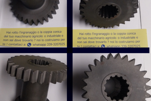 Ingranaggio 19 e 26 denti Ferrari bcs pasquali