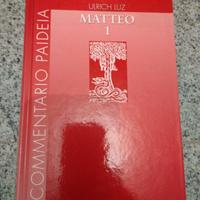 Vangelo di Matteo. Volume 1