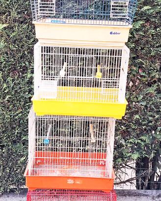 gabbiette varie misure