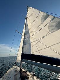 barca a vela bavaria34 3 cabine