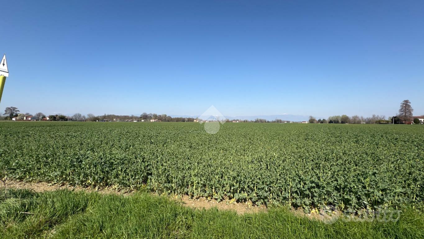 TER. AGRICOLO A SAN GIORGIO IN BOSCO - Vista 5