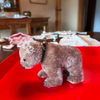 Orsetto Steiff vintage anni ‘50