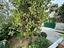 Immagine 25