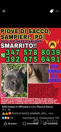 Smarrito
