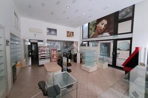 NEGOZIO A COTIGNOLA