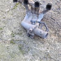 Collettore "a banana" Ford Transit