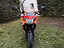 Immagine 4