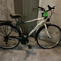 Bicicletta da passeggio