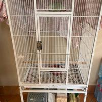 Gabbia per pappagalli