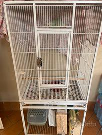 Gabbia per pappagalli