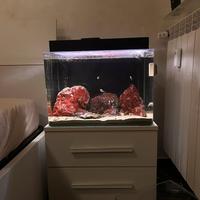 Acquario marico completo di tutto