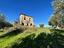 Immagine 7