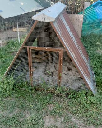 POLLAIO IN FERRO