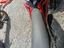 Immagine 5